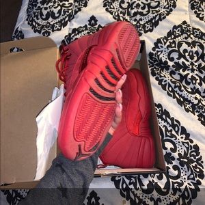 Jordan 12 red gs